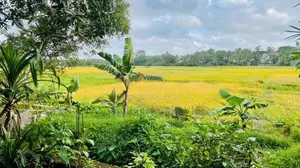 House for Sale in Thalangama (SSPH-398)