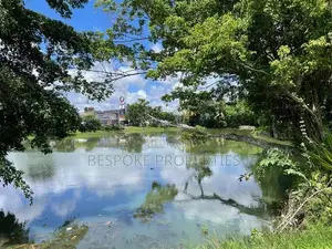 Land for Sale in Nagahamulla Road Thalawathugoda