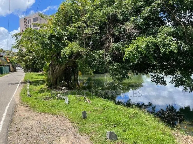 Land for Sale in Nagahamulla Road Thalawathugoda