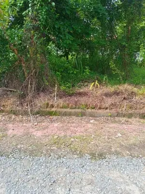 Kesbewa Land For Sale