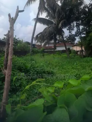 Land For Sale In Raththanapitiya