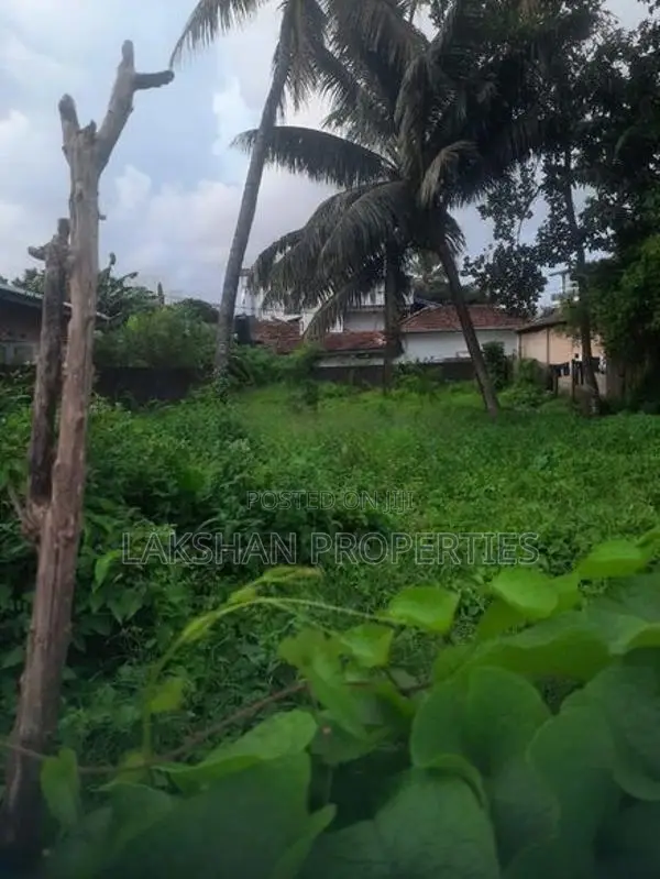Land For Sale In Raththanapitiya