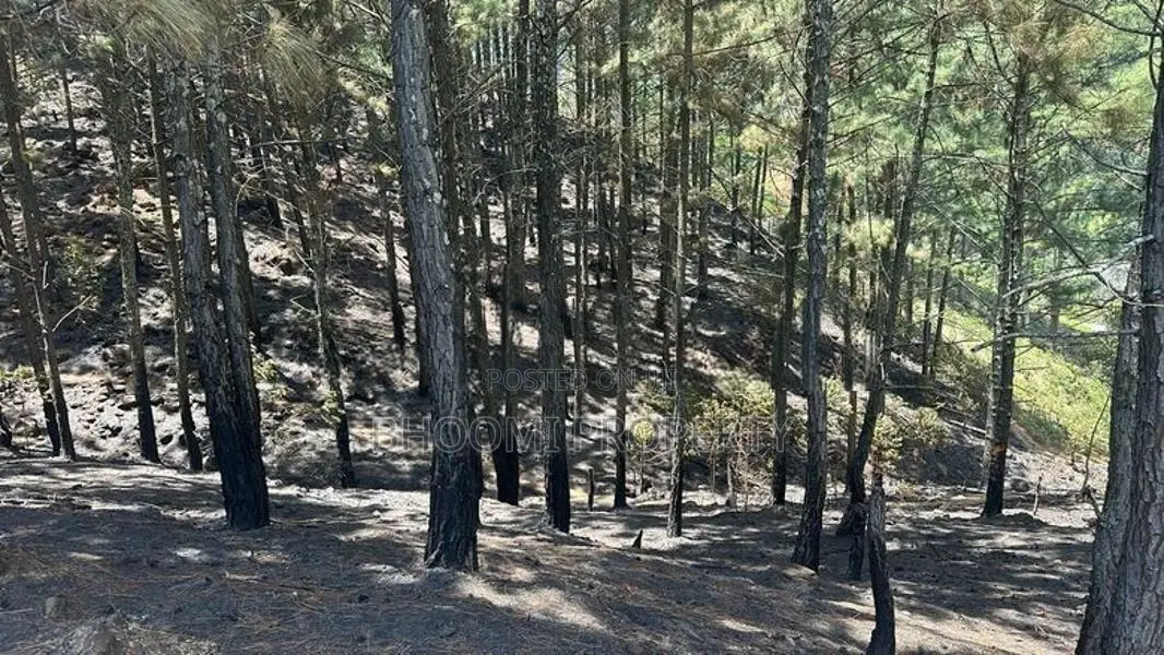 Beautiful land plots for sale in Ella