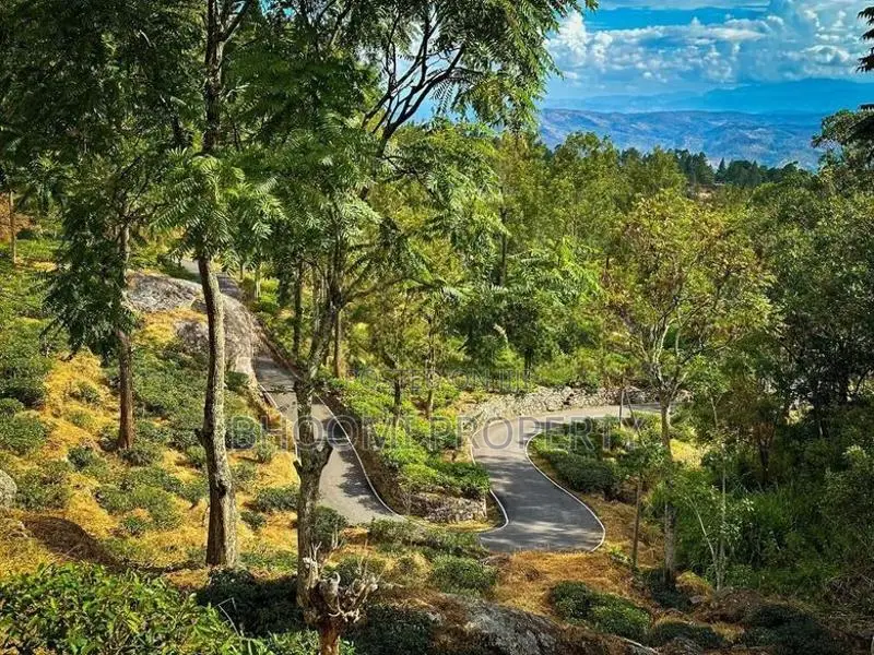 Natural land plots for sale in Haputale