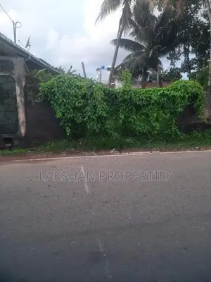 Land For Sale In Raththanapitiya