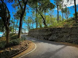 Natural land plots for sale in Haputale