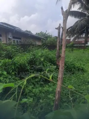 Land For Sale In Raththanapitiya