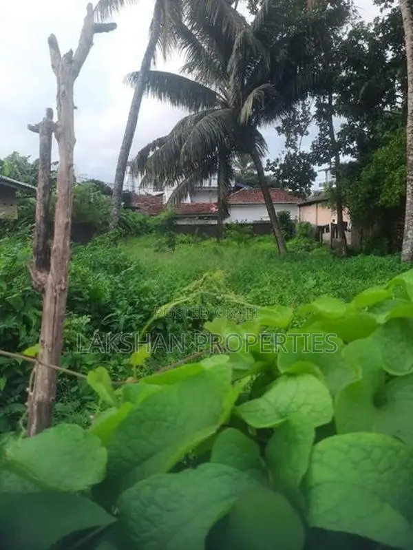 Land For Sale In Raththanapitiya