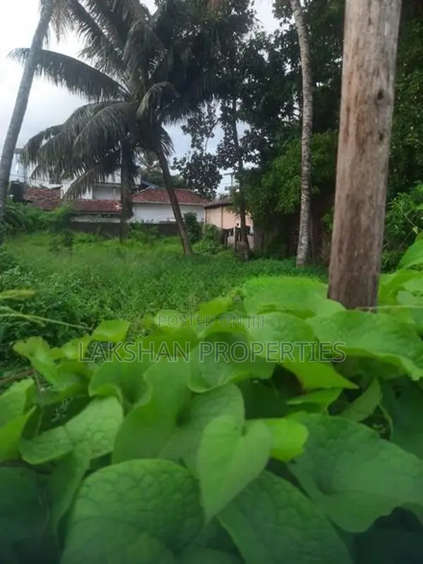 Land For Sale In Raththanapitiya