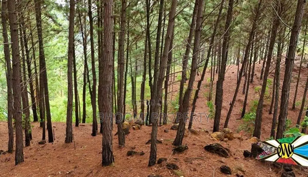 Beautiful land plots for sale in Ella
