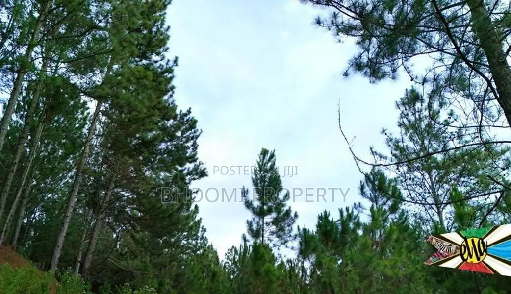 Beautiful land plots for sale in Ella