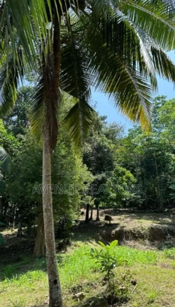 Land for Sale in Unawatuna, Talpe (LA4673)