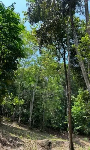 Land for Sale in Unawatuna, Talpe (LA4673)