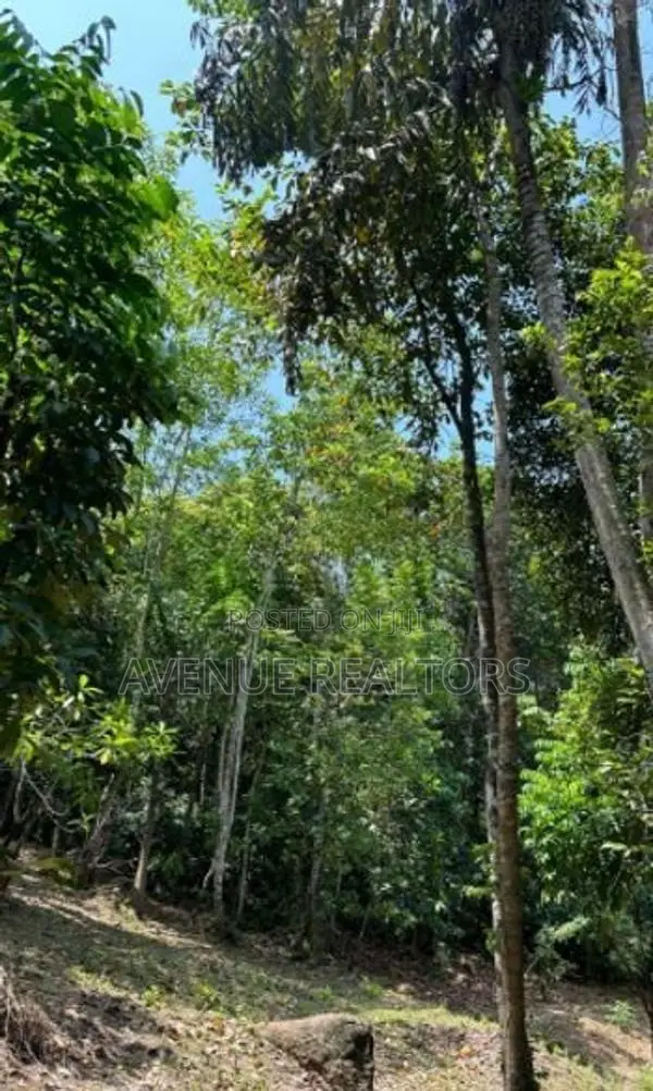 Land for Sale in Unawatuna, Talpe (LA4673)