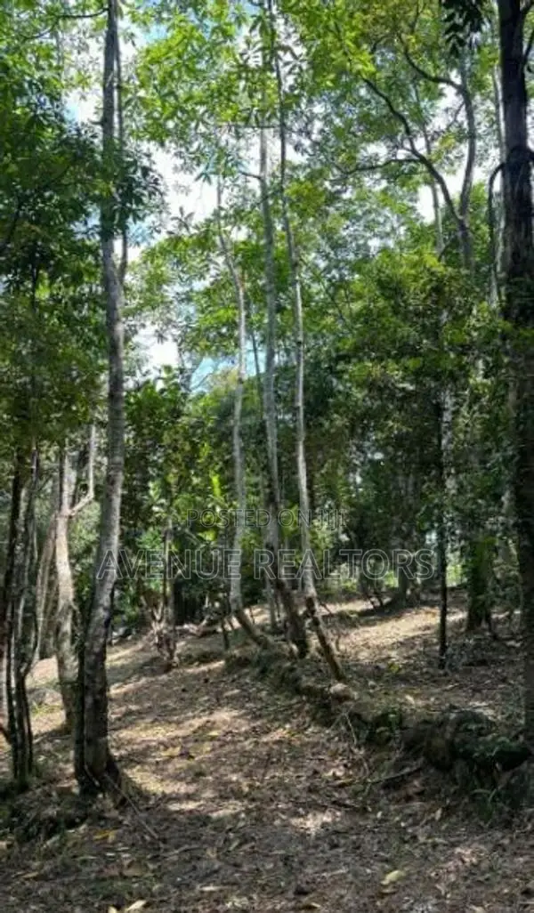 Land for Sale in Unawatuna, Talpe (LA4673)