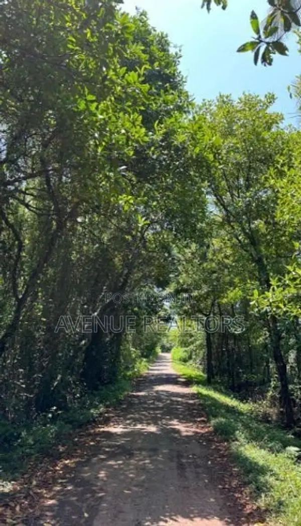 Land for Sale in Unawatuna, Talpe (LA4673)