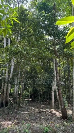 Land for Sale in Unawatuna, Talpe (LA4673)