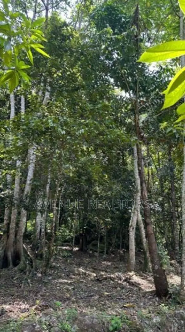 Land for Sale in Unawatuna, Talpe (LA4673)