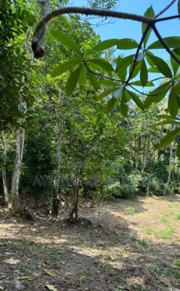 Land for Sale in Unawatuna, Talpe (LA4673)