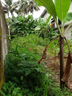 පදිංචියට සුදුසු නිරවුල් ඉඩමක් - ගල්වරුසාපාරෙන් රන්සිලු උයන