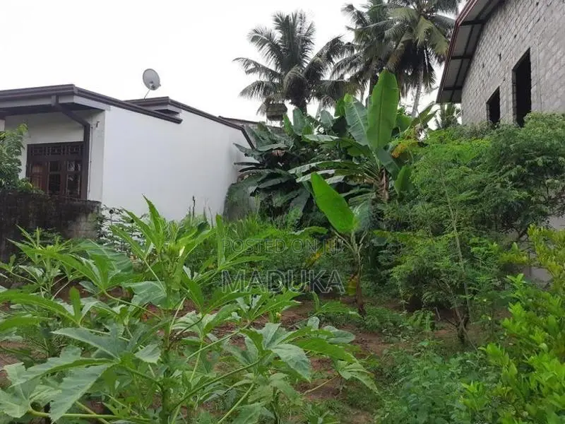 පදිංචියට සුදුසු නිරවුල් ඉඩමක් - ගල්වරුසාපාරෙන් රන්සිලු උයන