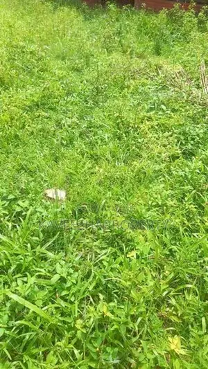 Land for Sale Rajagiriya