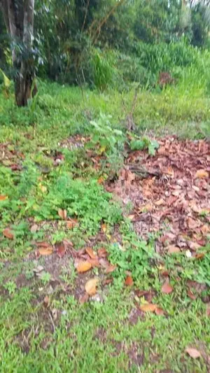 Land for Sale Malabe
