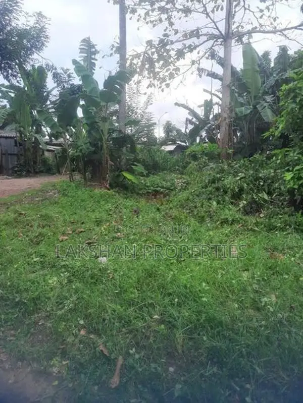Land For Sale In Boralesgamuwa දිවුලපිටිය