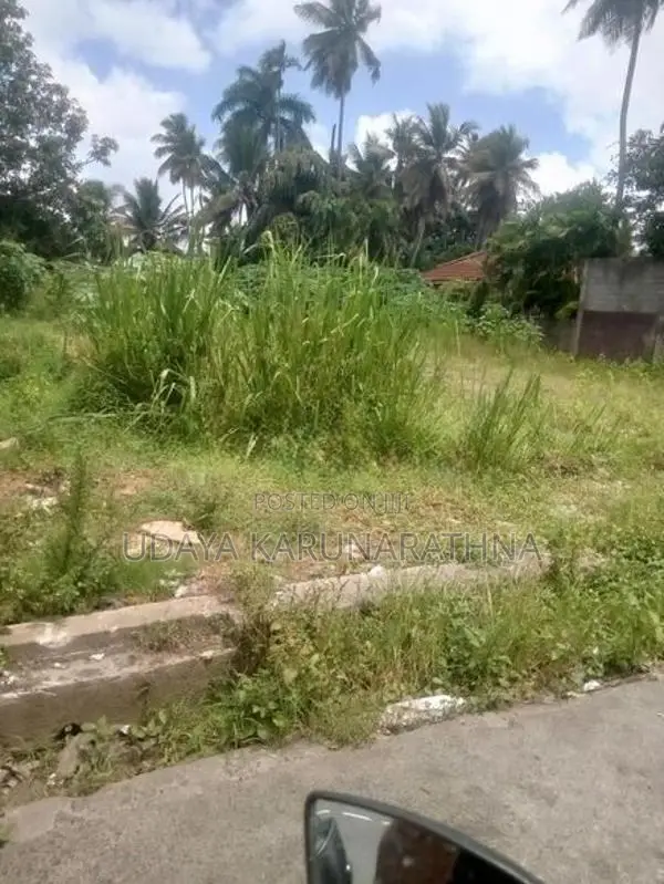 Land for Sale Waliwita
