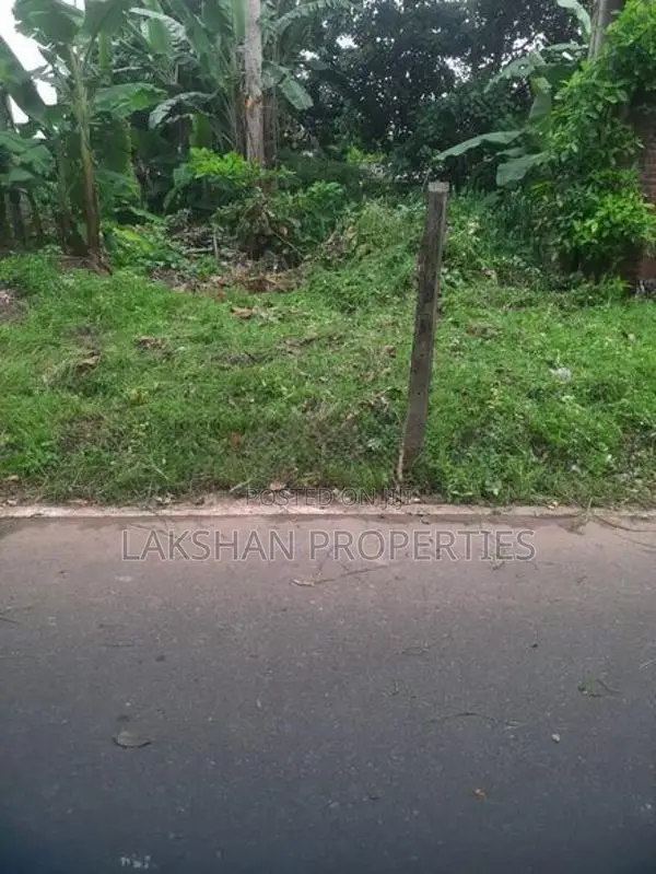 Land For Sale In Boralesgamuwa දිවුලපිටිය