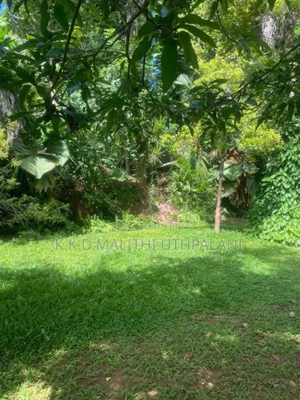 Land For Sale Mountlavinia