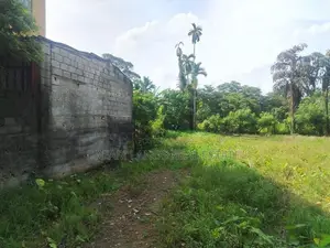 Panniptiya 68 Pec Land For Sale
