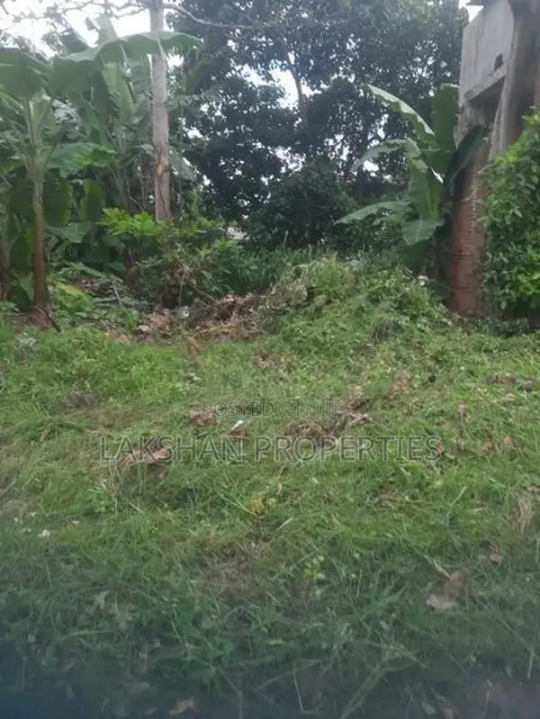 Land For Sale In Boralesgamuwa දිවුලපිටිය