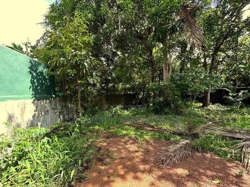 Land in Piliyandala With Old House - Walking Distance to 120 Main Rd