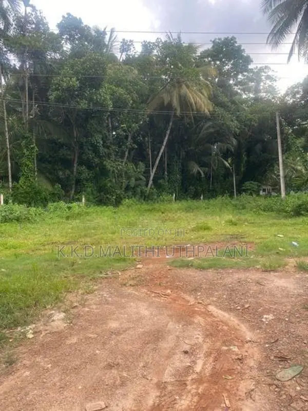 Land For Sale Mountlavinia
