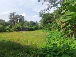 Panniptiya 68 Pec Land For Sale