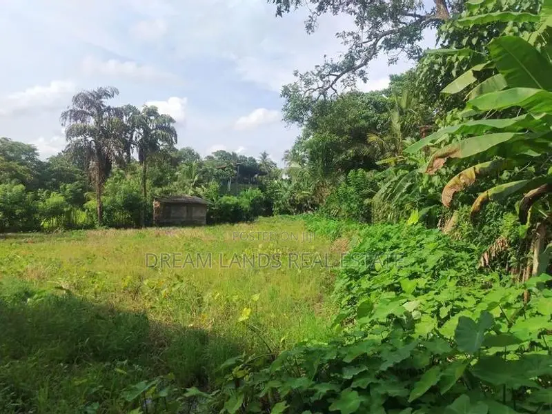 Panniptiya 68 Pec Land For Sale