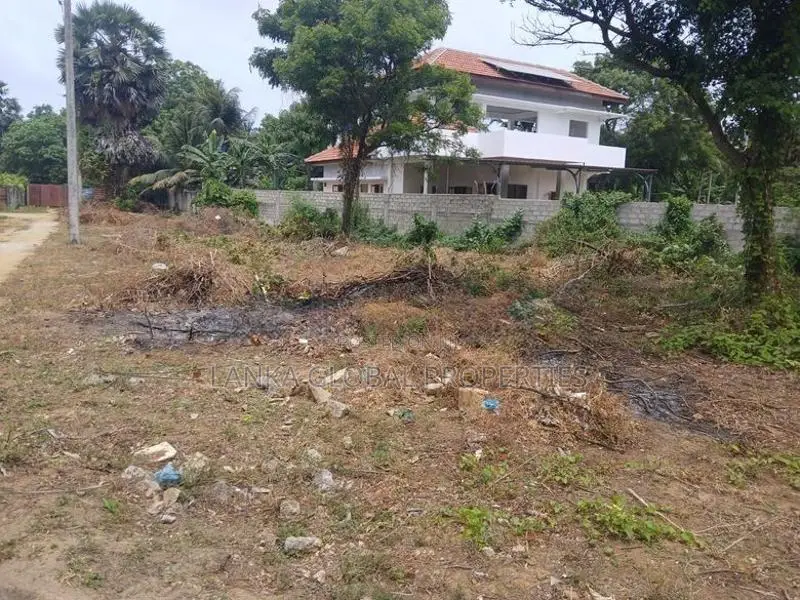 Land for Sale Jaffna