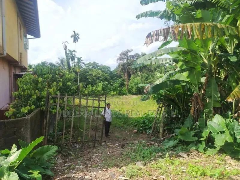 Panniptiya 68 Pec Land For Sale