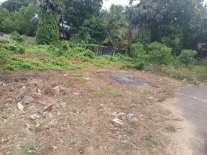 Land for Sale Jaffna