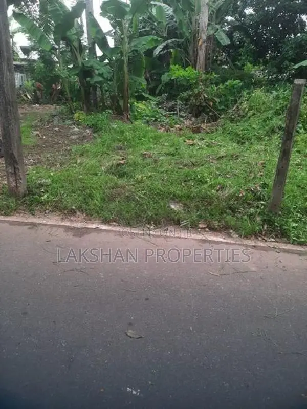 Land For Sale In Boralesgamuwa දිවුලපිටිය