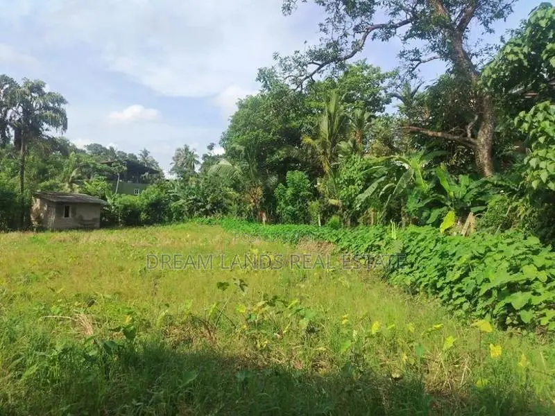 Panniptiya 68 Pec Land For Sale