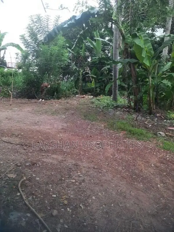Land For Sale In Boralesgamuwa දිවුලපිටිය