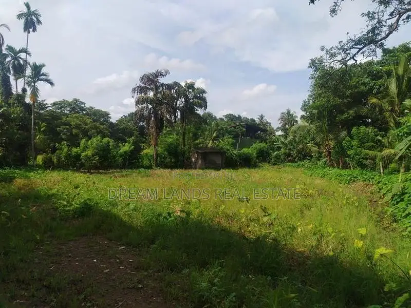 Panniptiya 68 Pec Land For Sale