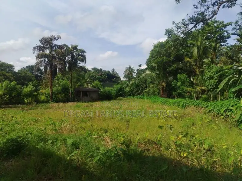 Panniptiya 68 Pec Land For Sale