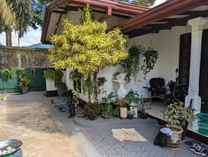 Valuable Single Storey House for Sale in Ja-Ela