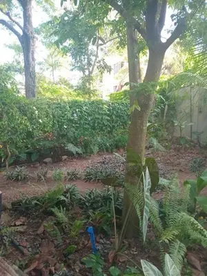 House For Rent With Large Garden in Colombo 07 [ 2223C ]