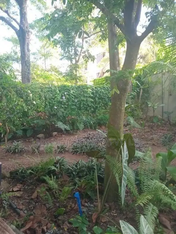 House For Rent With Large Garden in Colombo 07 [ 2223C ]