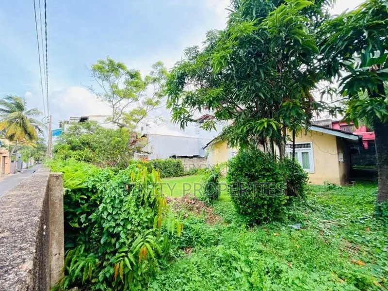 (AFA258) 17.2 P With old House Sale At Prathibimbarama Road Kalubowila