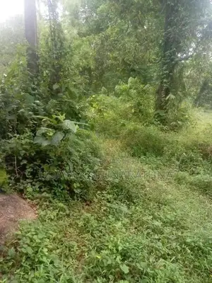 Land for Sale Hibutana